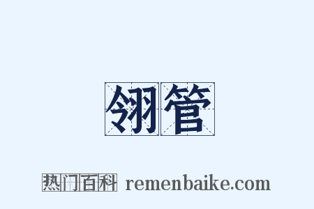 翎管是什么意思的图片